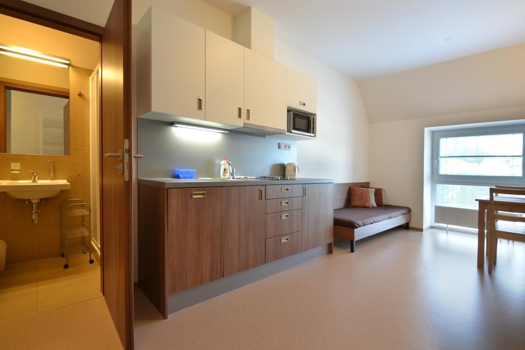 Apartmany Rokytka Snowhouse روكيتنسي ناد جيزيرو المظهر الخارجي الصورة