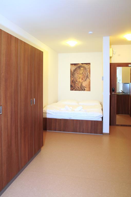 Apartmany Rokytka Snowhouse روكيتنسي ناد جيزيرو الغرفة الصورة