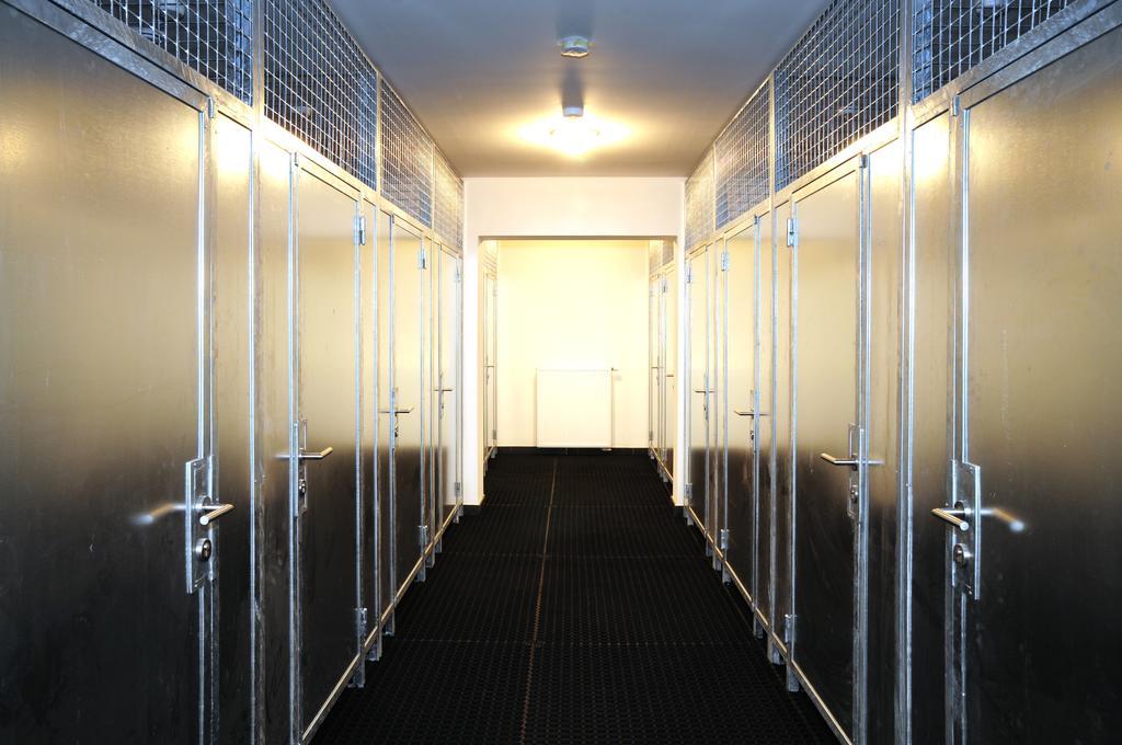 Apartmany Rokytka Snowhouse روكيتنسي ناد جيزيرو المظهر الخارجي الصورة